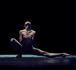 Elephant in a Black Box.  Photo by Ignacio Urrutia.