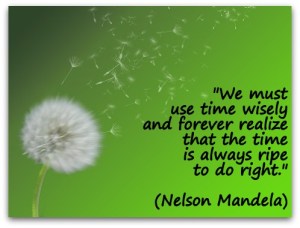 We-must-use-time-wisely-and-forever-realize-that-the-time-is-always-ripe-to-do-right.-Nelson-Mandela